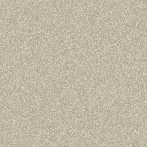 leone-plus_705405_lowres