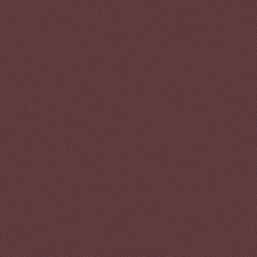 leone-plus_705408_lowres