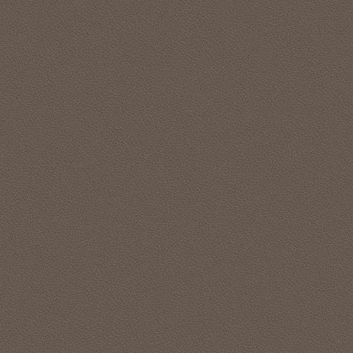 leone-plus_705409_lowres