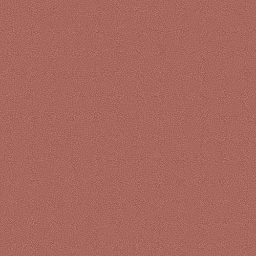 leone-plus_705411_lowres