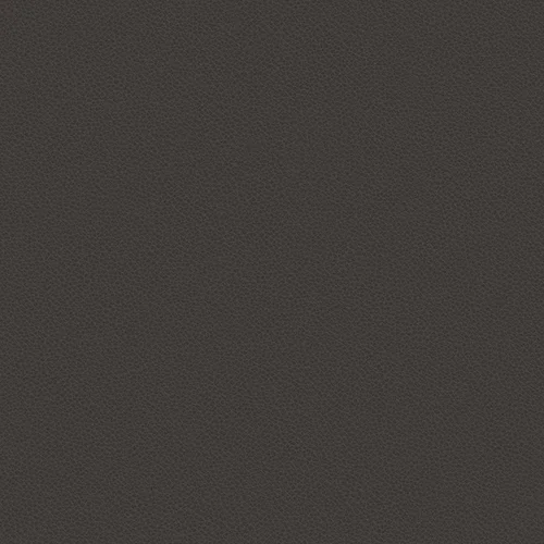leone-plus_705414_lowres