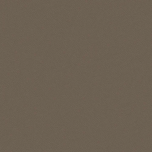 leone-plus_705419_lowres