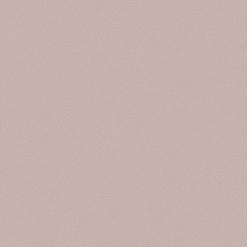 leone-plus_705417_lowres