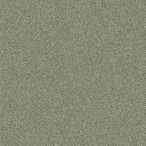 leone-plus_705420_lowres