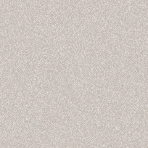 leone-plus_705421_lowres