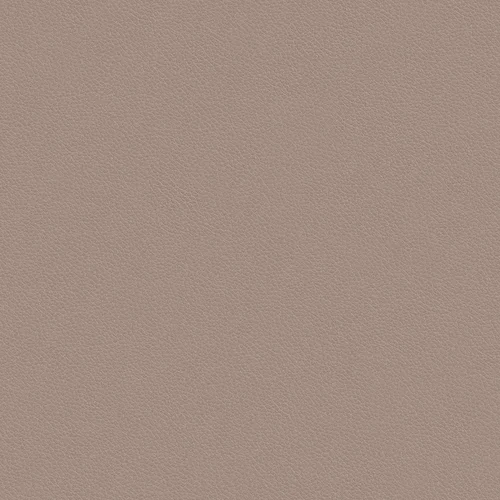 leone-plus_705412_lowres