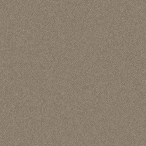 leone-plus_705413_lowres