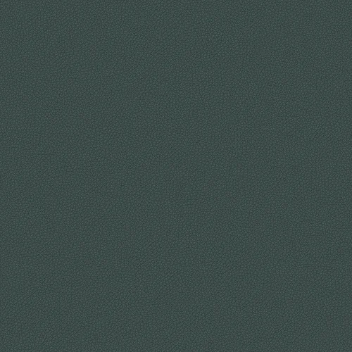 leone-plus_705416_lowres