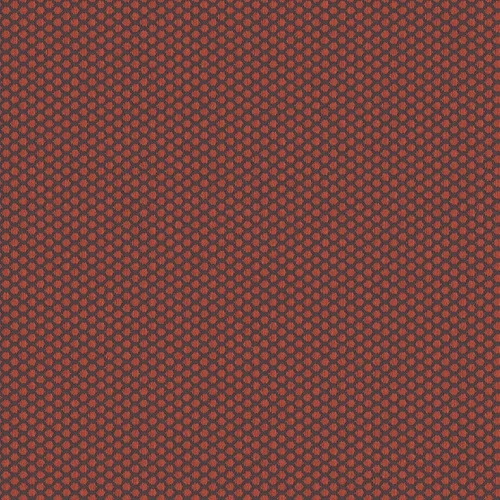 rolla_706503_lowres