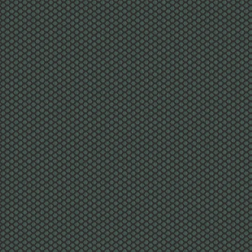 rolla_706520_lowres