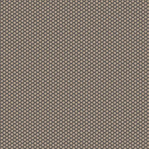 rolla_706516_lowres