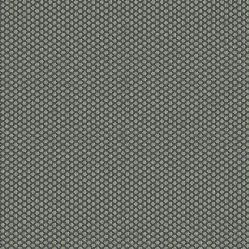 rolla_706517_lowres