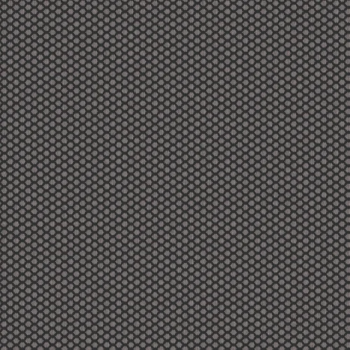 rolla_706518_lowres
