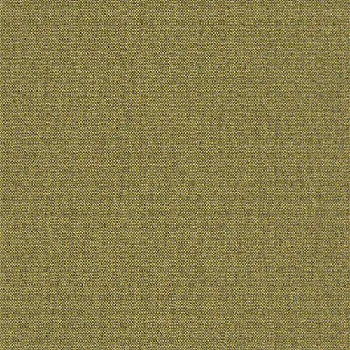 wolin_705039_lowres