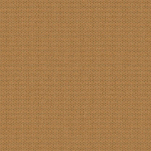 arrow_705509_lowres