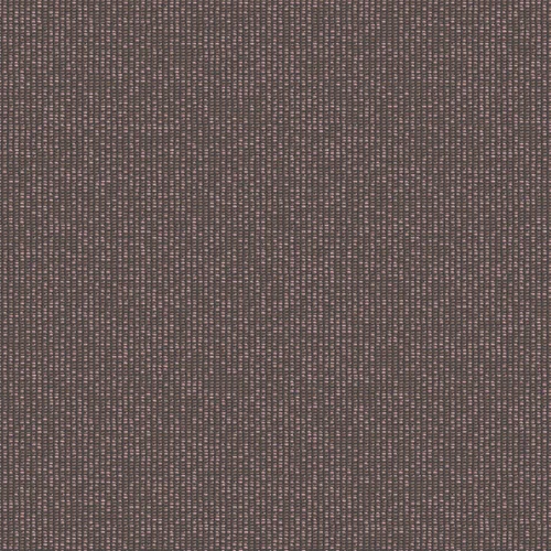 zenith_707901_lowres