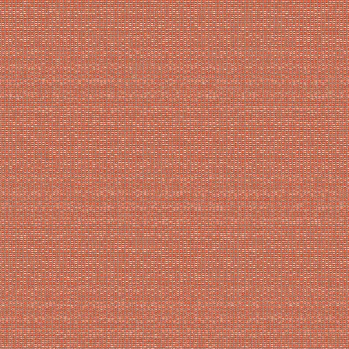 zenith_707909_lowres