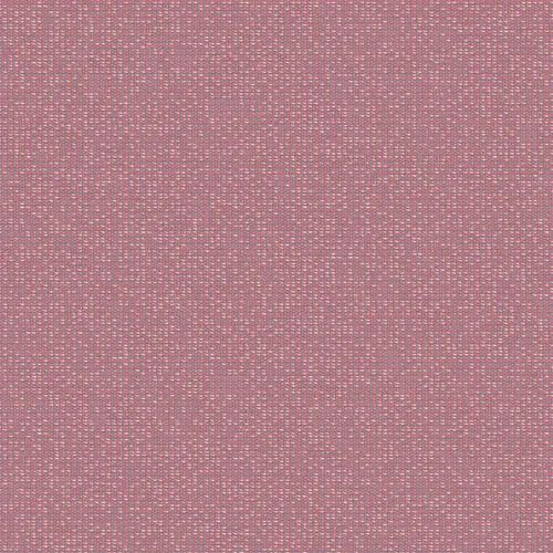 zenith_707904_lowres