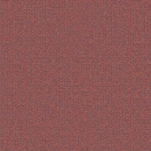 zenith_707906_lowres