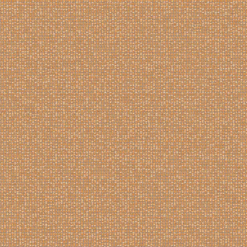 zenith_707917_lowres
