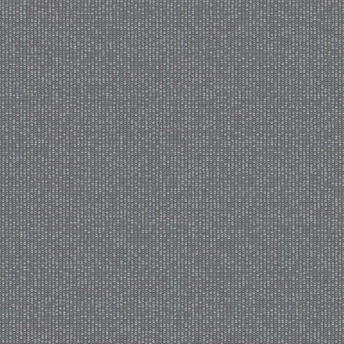 zenith_707930_lowres