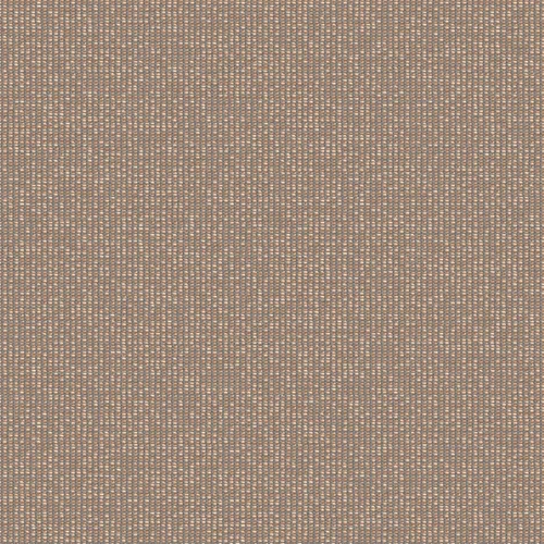 zenith_707927_lowres