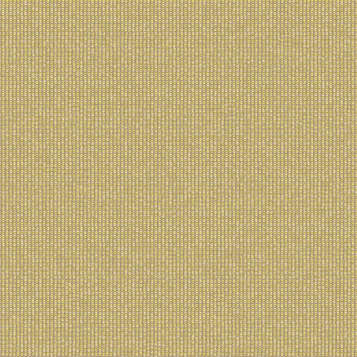 zenith_707923_lowres