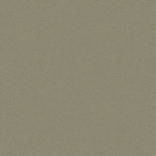 moroni_806017_lowres