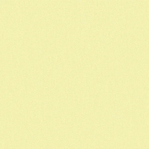 45_meteor_254946_lowres