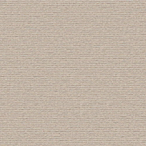 6_nexus_253408_lowres