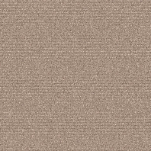 tula_808112_lowres