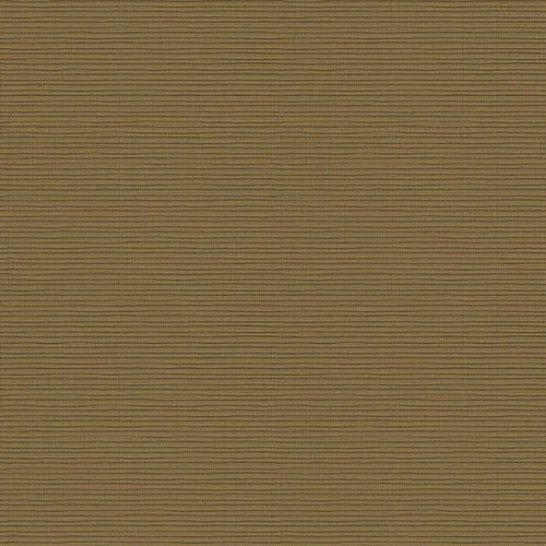 1_ketoy_108002_lowres