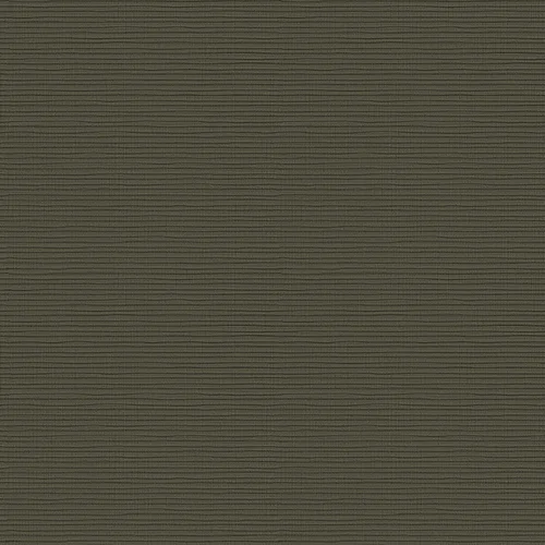 5_ketoy_108006_lowres