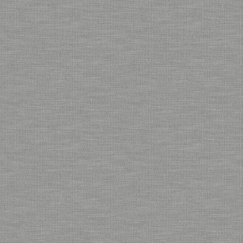 swan_807114_lowres