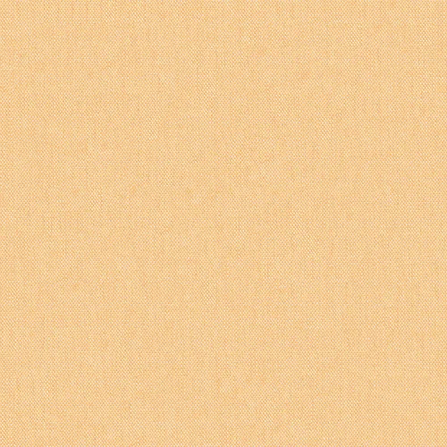 10_meteor_254911_lowres