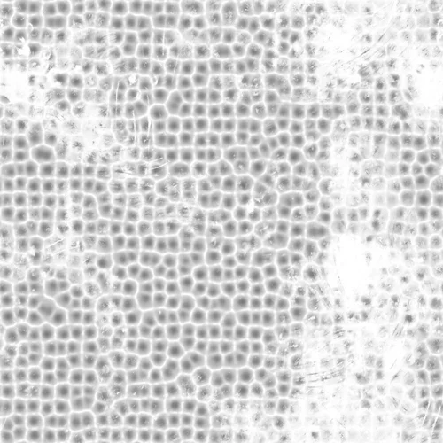 14_20_Occlusion