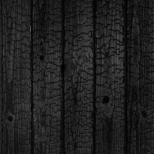 Maumedis_carbon