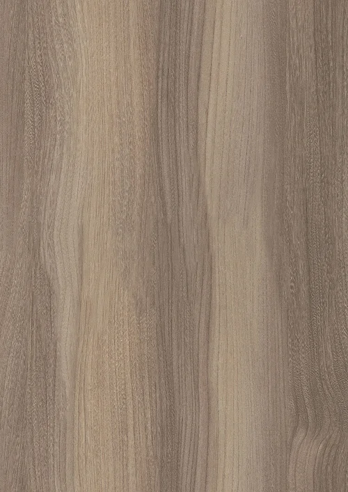 Pfleiderer - Basic Collection - R37003 - Wiąz Baron Trufel