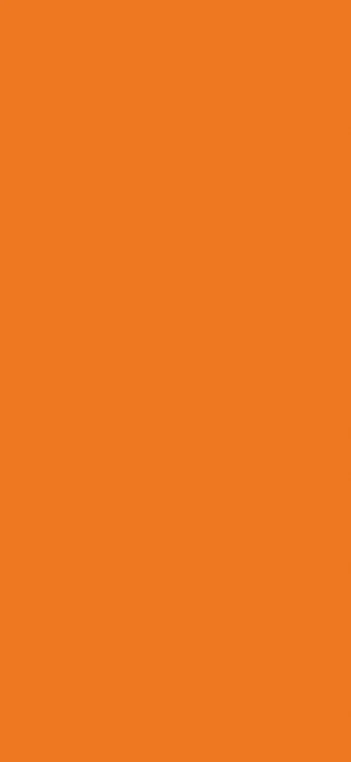 Pfleiderer - Basic Collection - U16010 - Orange