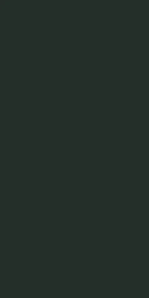 Pfleiderer - Kolekcja dodatkowa - U19011 - Black Green
