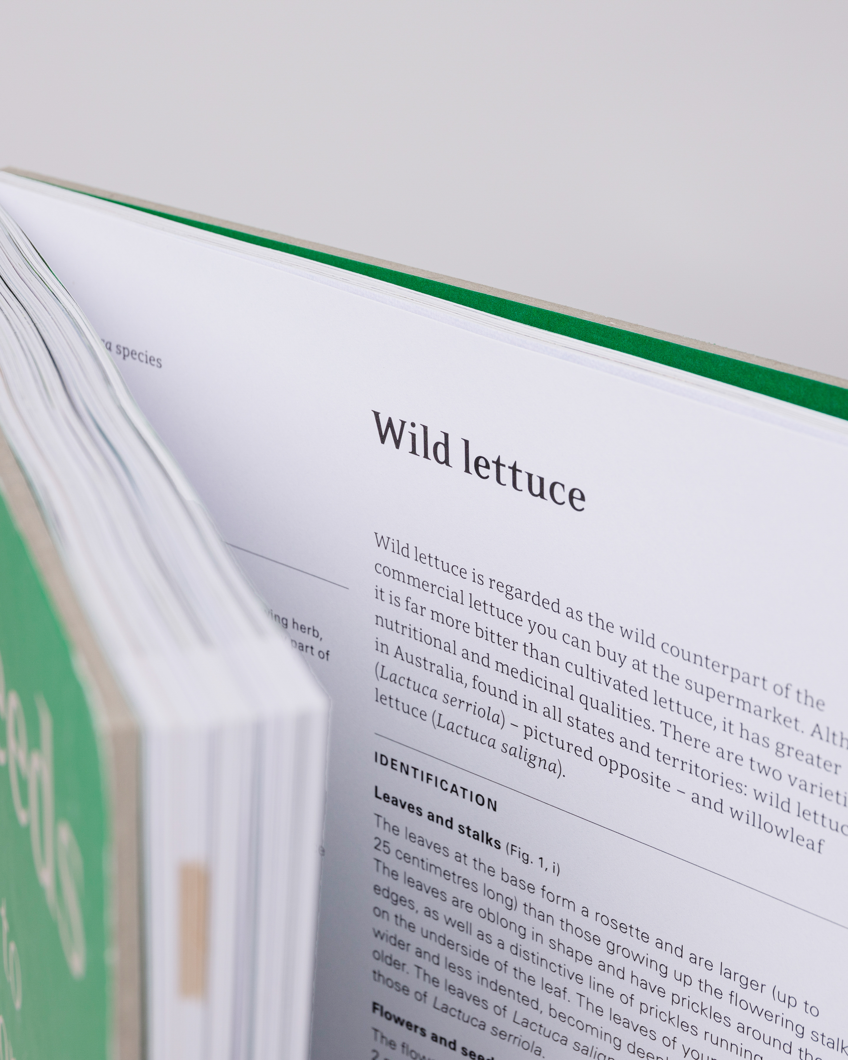 Close up view from the top of the book Sandqvist Eat weeds slighty opened.