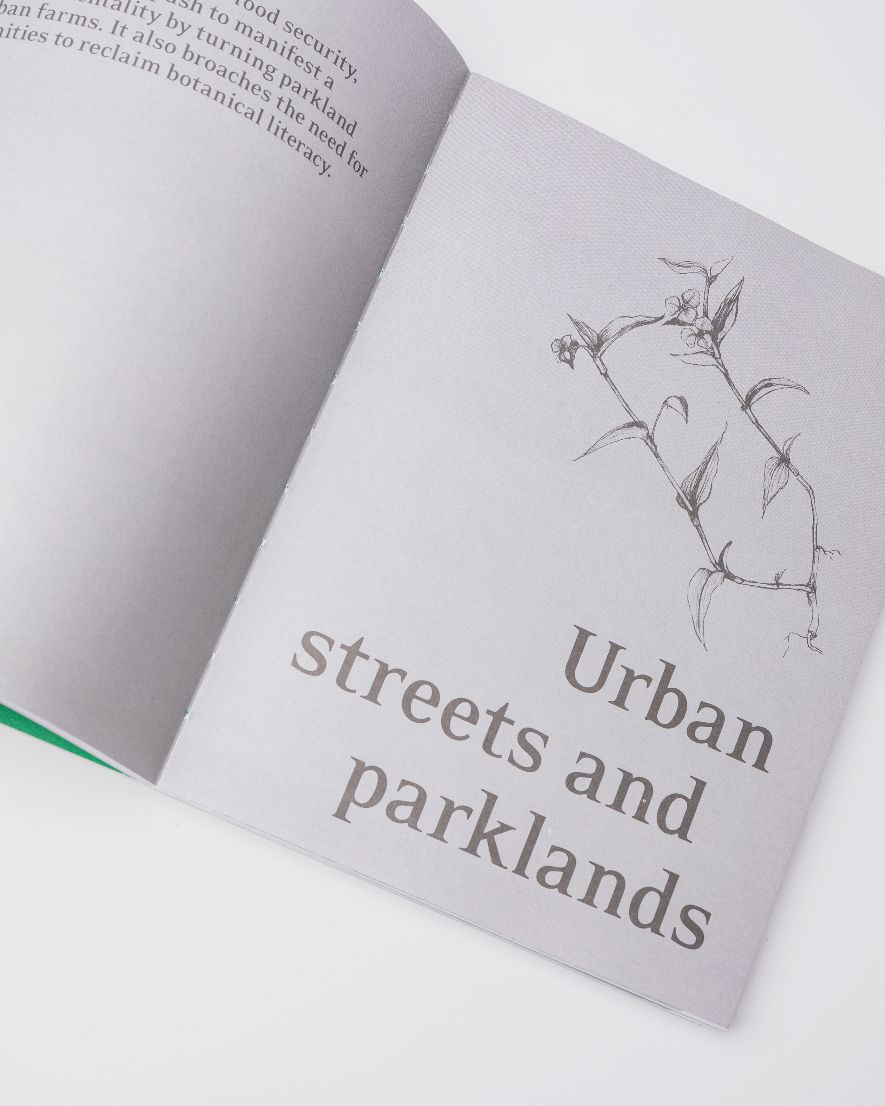 Opened book with two pages with text the book Sandqvist Eat Weeds.