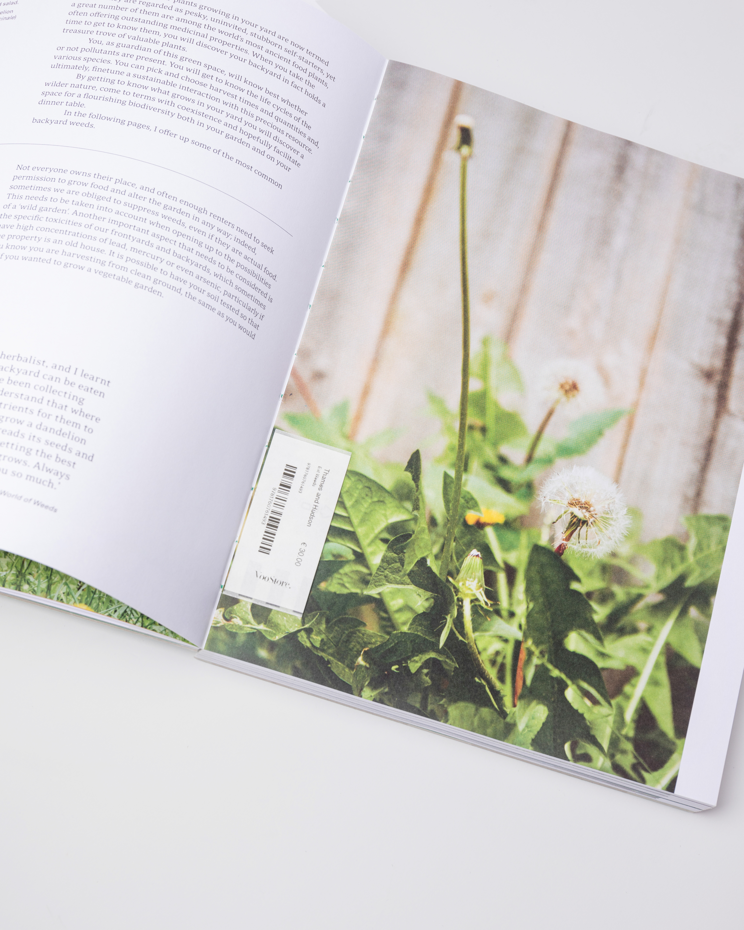 Opened book with image of plants in the book Sandqvist Eat Weeds.