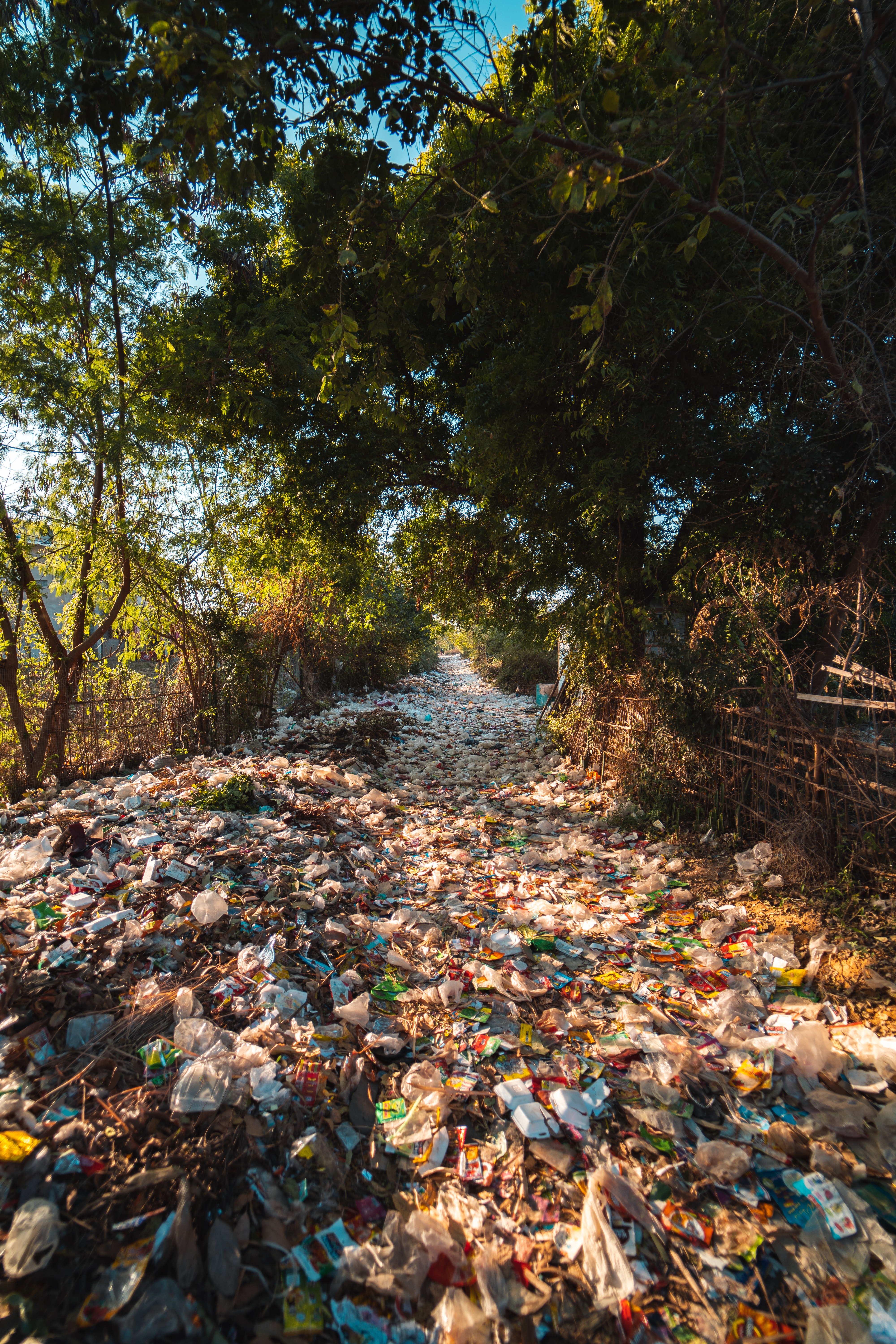Sustainability in Surfing