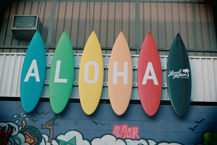 Can You Live Happily With A One Board Quiver?