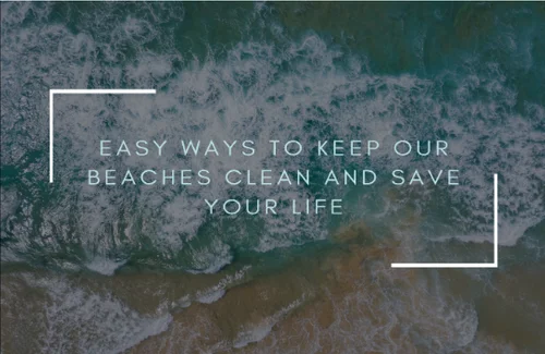Tips to help your local beach clean up its act