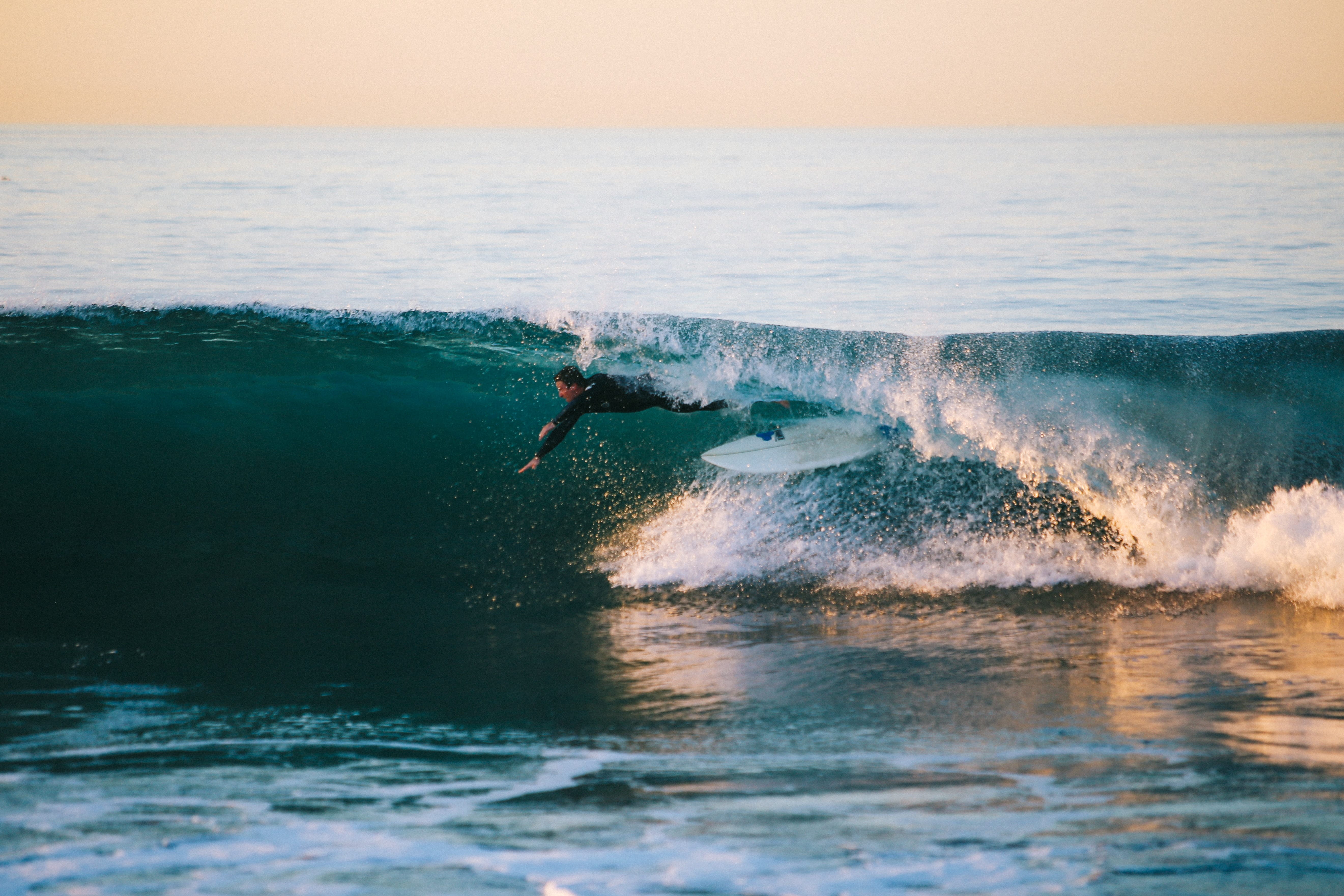 Un tour d'horizon du surf 2020