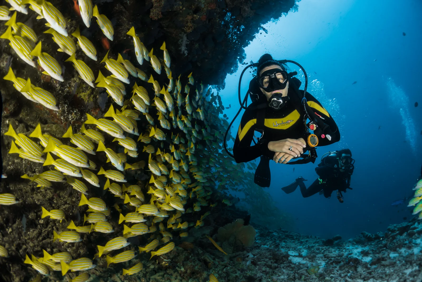 Eco Conscious Dive Spots Around The World