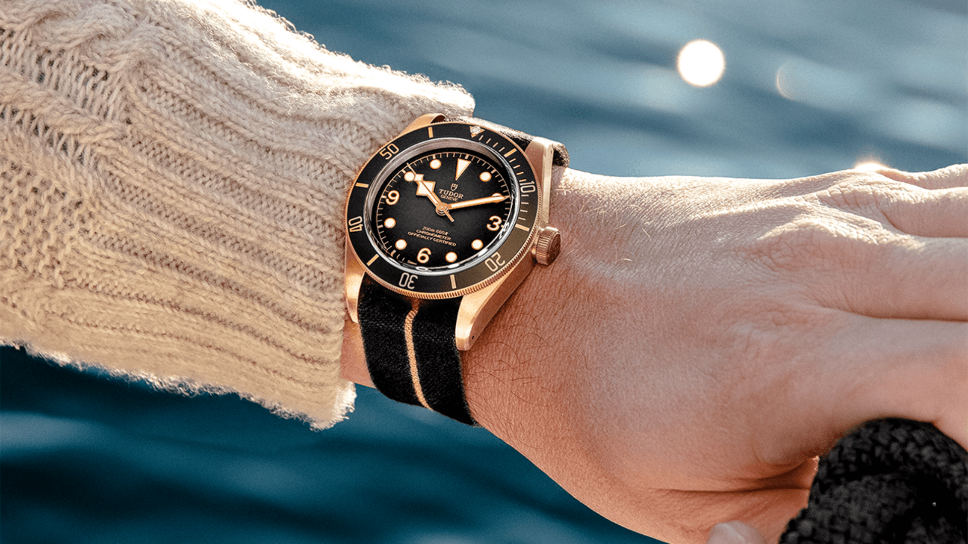 TUDOR Black Bay Bronze