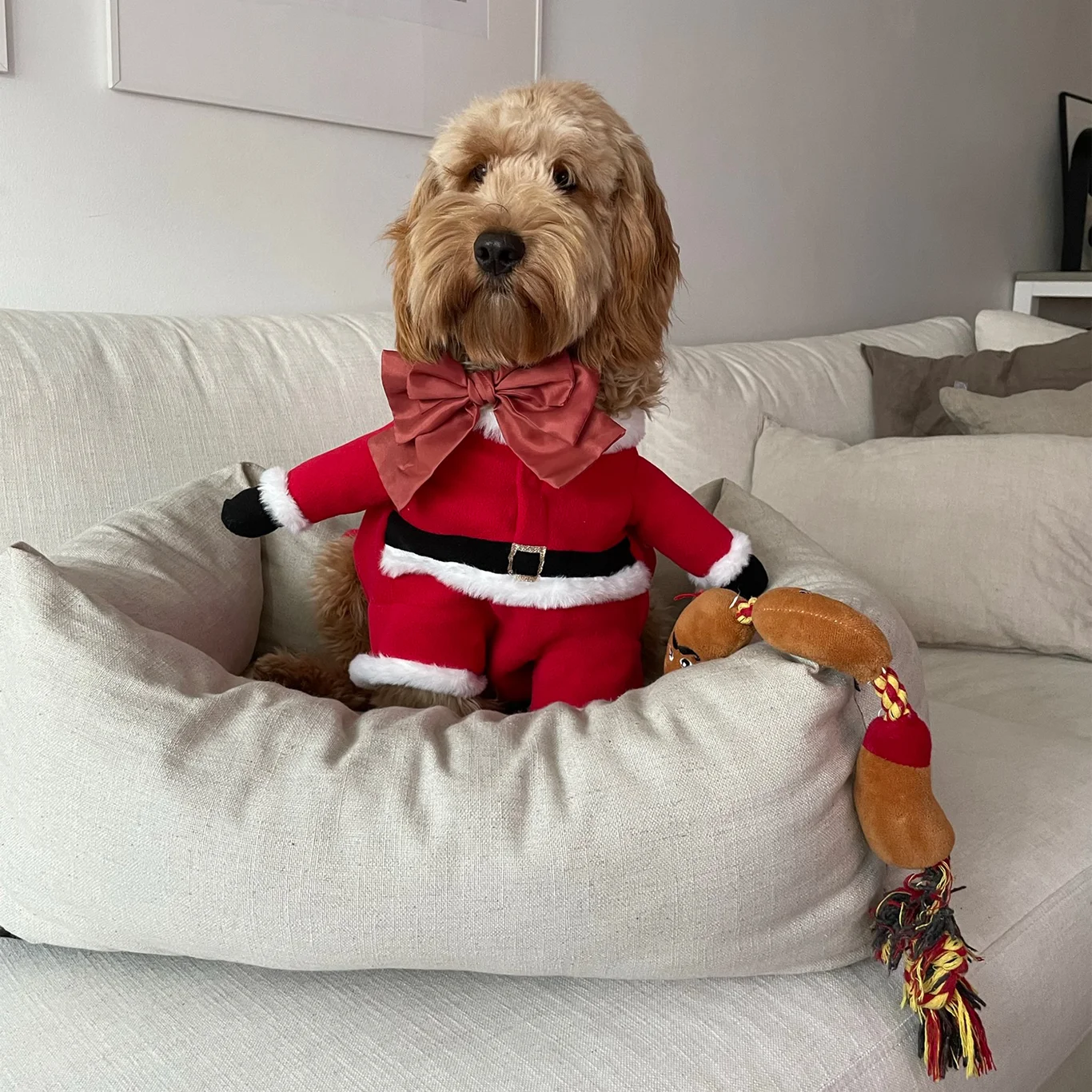 Beige hundbädd med stoppning av siliconfiber, klädd i tålig linneblandning. 